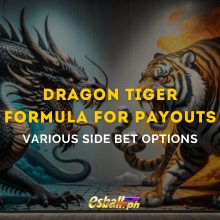 Formula ng Dragon Tiger para sa Mga Payout at Pagsusuri ng Resulta